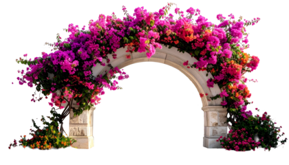 Stone archway blooming with vibrant pink, purple, and orange flowers, isolated on black