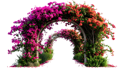 Colorful arched floral pathway, vivid pink and orange blooms cascading over a metallic structure