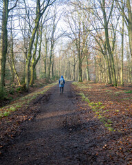 Person walks on a dirt path in a forest surrounded by trees on a sunny day