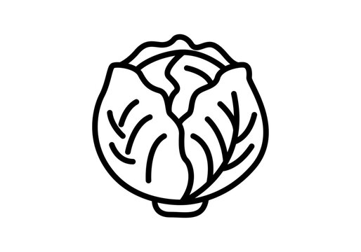 Icono de repollo o lechuga fresca con hojas en estilo lineal