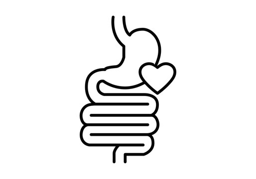 Icono de sistema digestivo humano con est&oacute;mago e intestinos junto a un coraz&oacute;n de salud