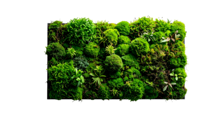 Lush green wall of various plants, moss, and foliage