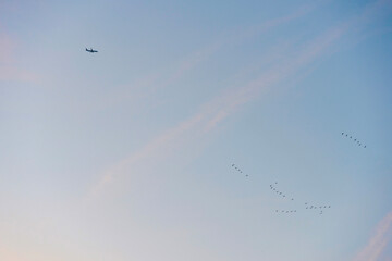 Birds flying in a blue cloudy cloudy sky at sunrise in winter, Almere, Flevoland, The Netherlands, January 18, 2026