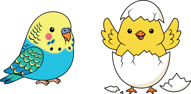 Set of two cute bird vector illustrations featuring a blue and yellow parakeet and a hatching baby chick