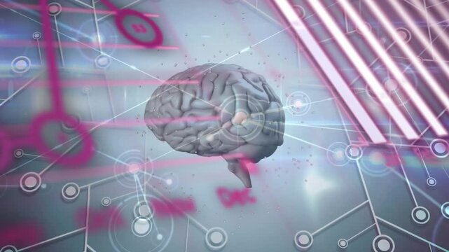 Animation of network of connections and statistical data processing over spinning human brain icon