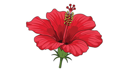 Fototapeta premium Vibrant red hibiscus flower with prominent yellow stamens and green sepals, showcasing its exotic beauty and tropical allure.