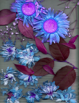 Scanography art with flowers  Floral photography art in colorful colors Botanical background with distortion effect