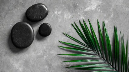 Gray Textured Background with Dark Stones and Green Palm Frond in Corner Arrangement.