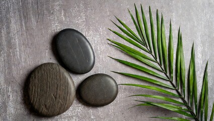 Gray Textured Background with Dark Stones and Green Palm Frond in Corner Arrangement.