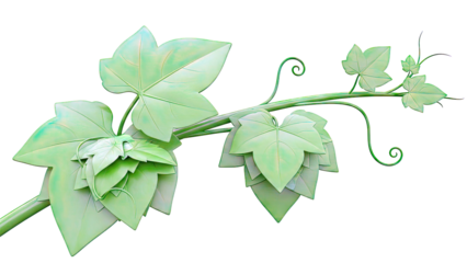 Green Vine with Leaves and Tendrils