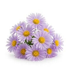 Fototapeta premium Aster Bouquet: A charming bouquet of delicate aster flowers, each bloom exhibiting soft pastel petals and a sunny yellow center, presented in a vibrant display.
