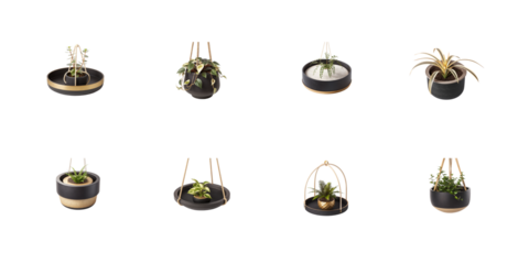 Collection of eight modern black and gold hanging planters featuring various small green houseplants on transparent background