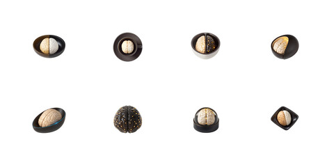Collection of symbolic representations featuring a stylized human brain model displayed in various conceptual containers on transparent background