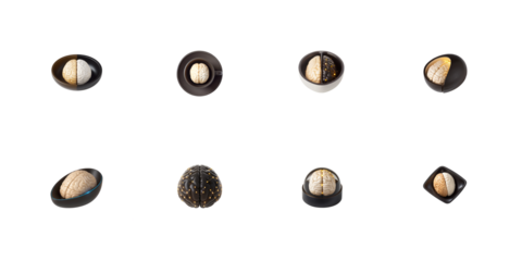 Collection of symbolic representations featuring a stylized human brain model displayed in various conceptual containers on transparent background