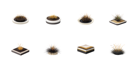 Collection of eight isometric ornamental grasses displayed in various pots planters and cross section view on transparent background
