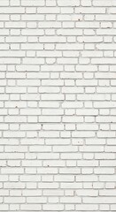 Rectangular construction blocks form a textured, weathered surface painted solid white.