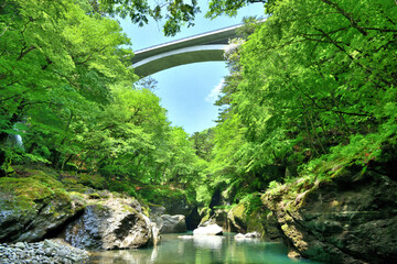 栃木県那須塩原市　塩原渓谷に架かる留春大橋と箒川 © TNK