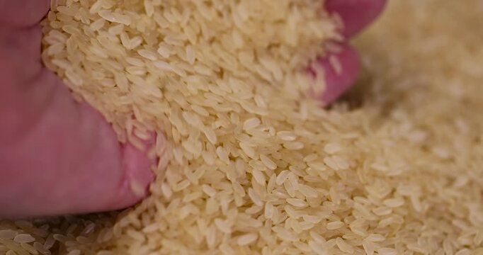white dry rice close up poured before cooking , poured natural pure polished rice on the table before cooking, close up