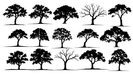 Clean vector set of black oak tree silhouettes with strong shapes and natural details, perfect for forest themes, landscapes, logos, and minimalist design projects. © Faizan Stock