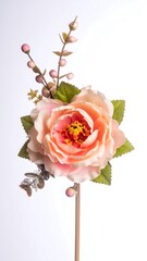 Peach flower atop a stick with leaves and berry accents, shot against a bright background