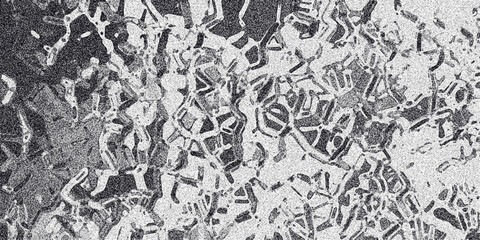 Fototapeta premium Detailed monochrome abstract background with intricate interconnected organic shapes and a grainy texture resembling a complex biological network