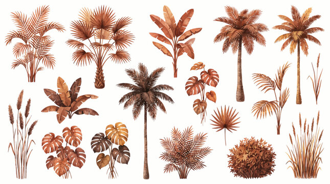 Watercolor set of brown tropical palm trees, monstera leaves and dried grasses isolated on white background, concept for wedding invitation, bohemian decoration and textile design