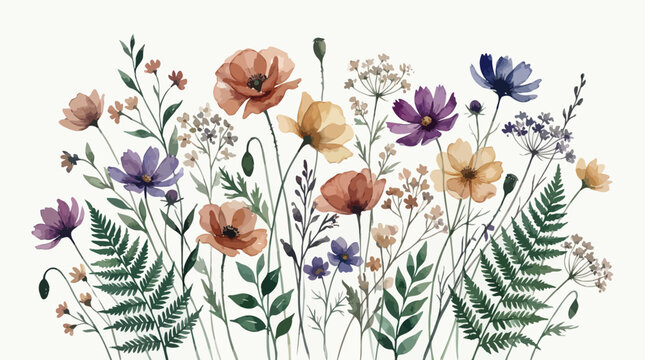 A delicate watercolor illustration of colorful wildflower meadow border featuring poppies, cosmos and ferns on a white background, concept for wedding invitations, textile design and packaging