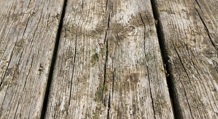 Vintage Wooden Texture with Worn Surface and Cracks