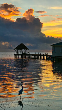 caye caulker sunrise