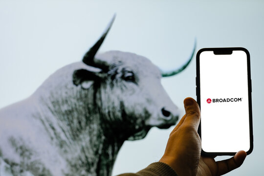 Broadcom Inc: Global Semiconductor Leader, Chip Innovation, Networking Solutions, Wireless Technology, Enterprise Storage & High-Performance Computing Hardware
