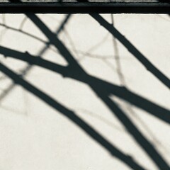 Abstract Branch Shadows on Wall with Soft Natural Light