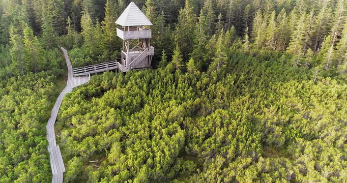 Wooden path through peat bog at Lovrenc Lakes aerial view