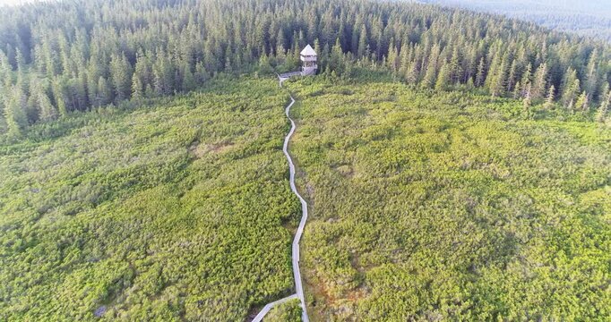 Long boardwalk across peat bog meadow aerial panorama