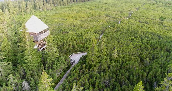 Observation tower above forest and peat bog aerial view