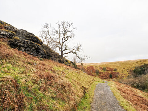 Ingleton Waterfalls Trail, Yorkshire &ndash; Scenic Forest Waterfall Landscape