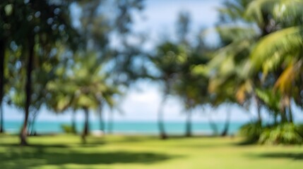 Serene tropical park beachscape vibrant green foliage turquoise ocean calm outdoor lifestyle photography