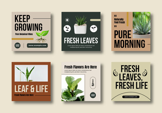 Natural Green Botanical Social Media Post Template