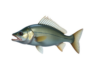 Fototapeta premium A fish standing upright on a white surface