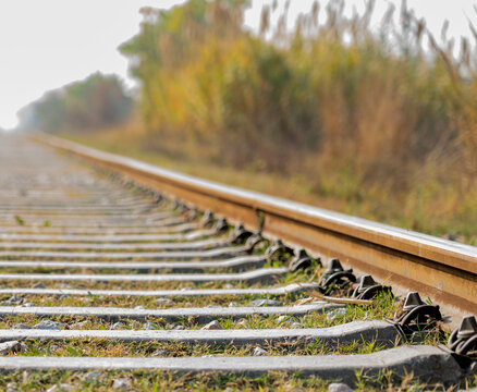 Railway Tracks Stretching into the Horizon