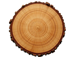 Obraz premium A detailed shot of wooden texture, suitable for design and decoration