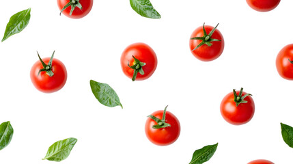 Fresh tomatoes and basil leaves Isolated on White background