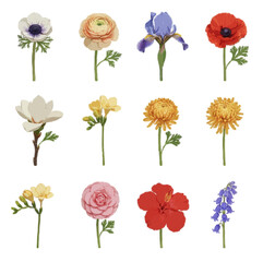 Set of beautiful watercolor botanical flower illustrations