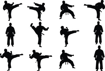 Collection of black martial arts fighter silhouettes isolated on white background, karate and taekwondo poses in dynamic kicking stances, combat sports, training, and fitness illustration set. © MD SHAHARIR