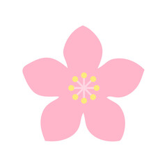 Fototapeta premium pink flower vector, cherry blossom