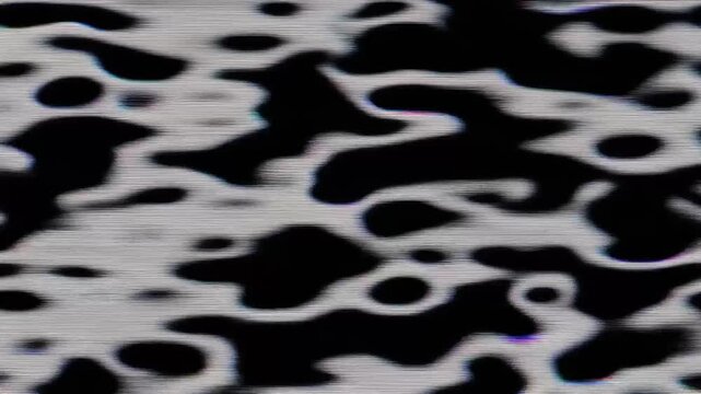 Abstract black and white animated pattern with flowing, organic shapes resembling cow print , featuring subtle retro analog glitch effects, chromatic aberration, and scan lines.