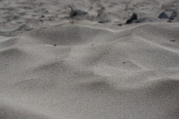 desert, patterrn, abstract, nature, sand, famara beach, lanzarote, canary islands, november 2025