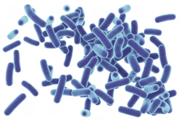 Blue bacteria cells microorganisms isolated on a transparent background