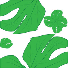 Leaf illustration on a white background