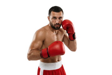 Muscular Male Boxer in Red Gloves and Shorts Ready to Fight