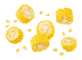 Fresh corn on cob with seeds isolated on white background. clipping path
